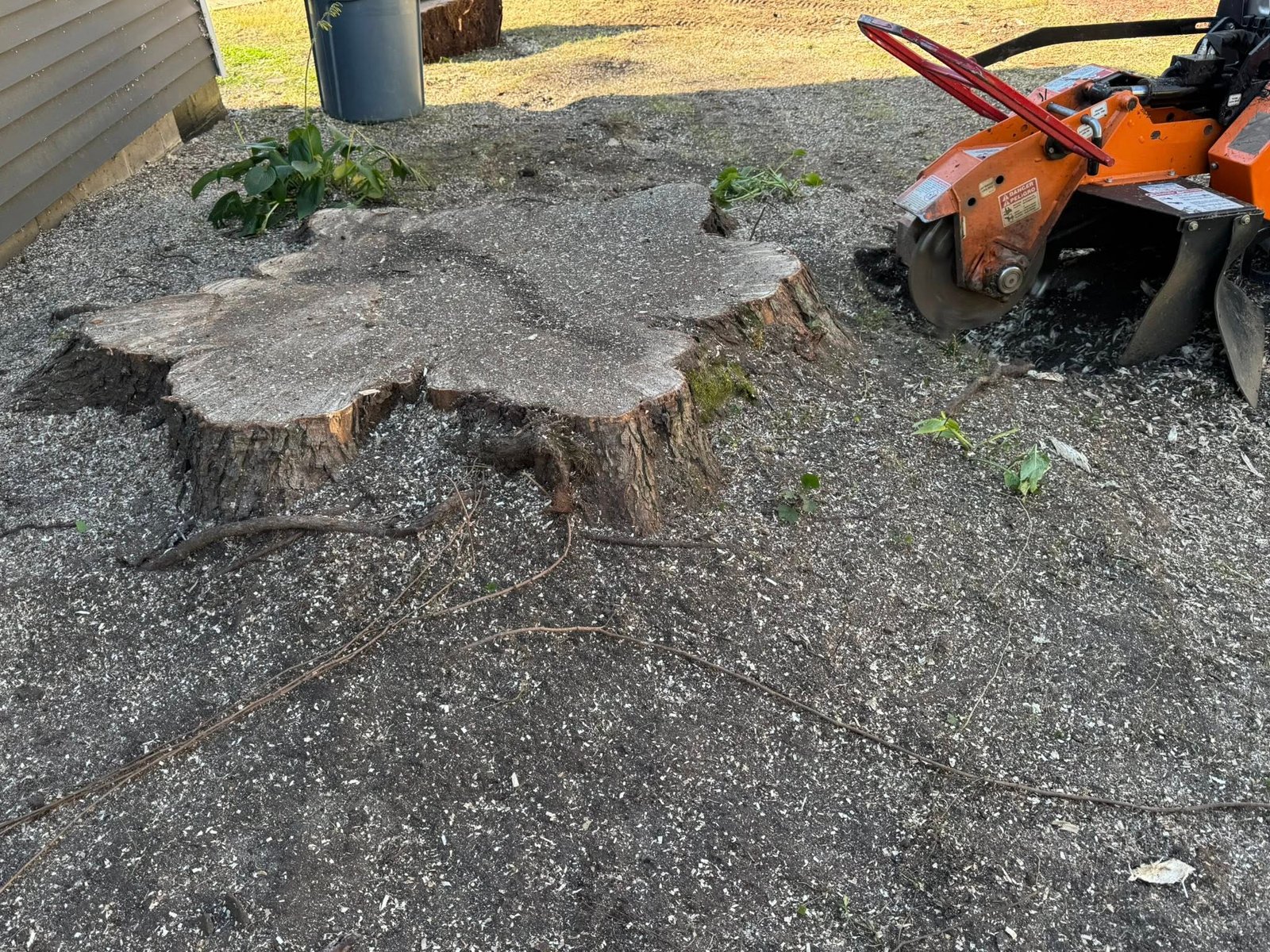 Stump Grinding Service